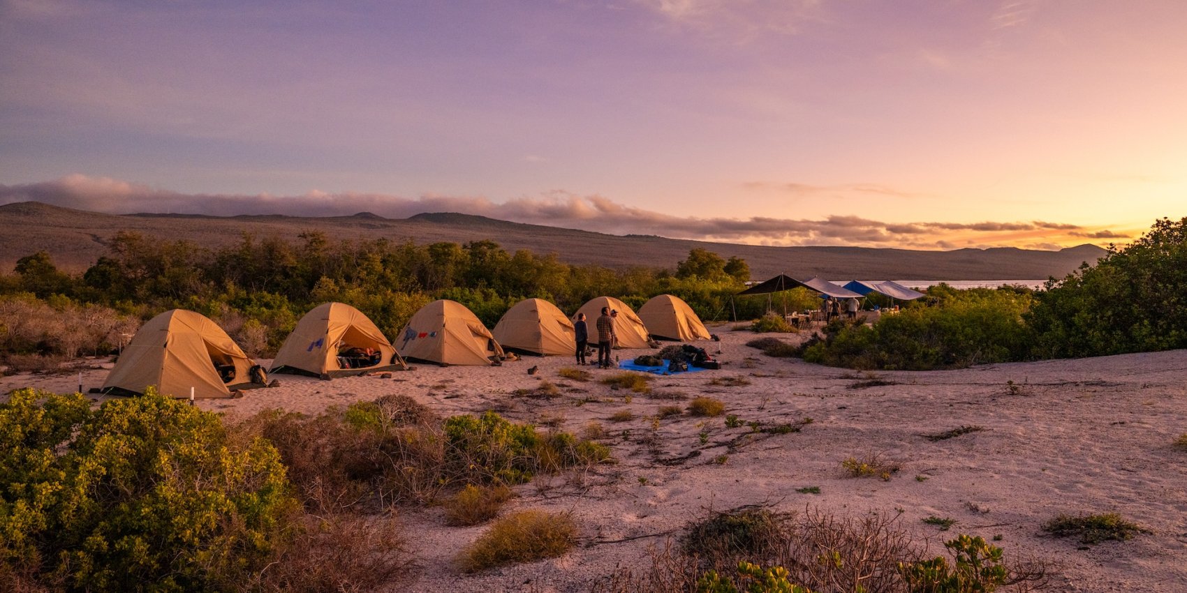 A row of tents lines a sandy clearing at a remote Galápagos campsite, with guests preparing for the evening under a vibrant sunset sky and volcanic highlands in the distance.