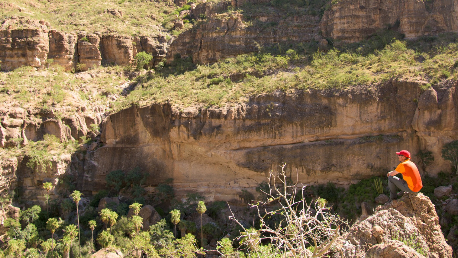 Vista of ancient cave paintings from Indigenous communities in Baja 