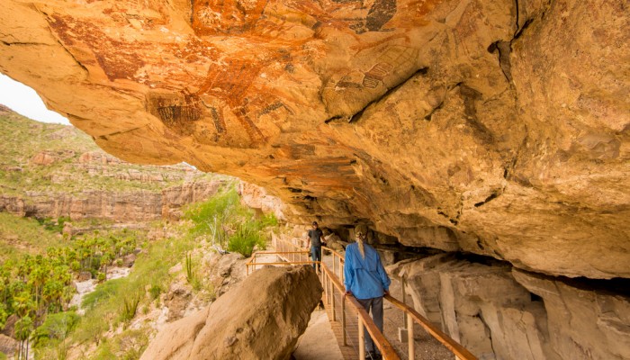 Person in a blue shirt walking underneath historic cave paintings among desert scape in Baja California Surs interior.